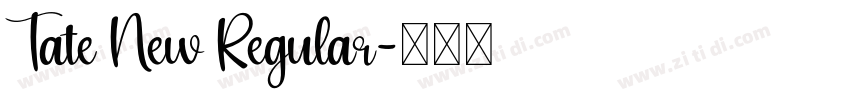 Tate New Regular字体转换